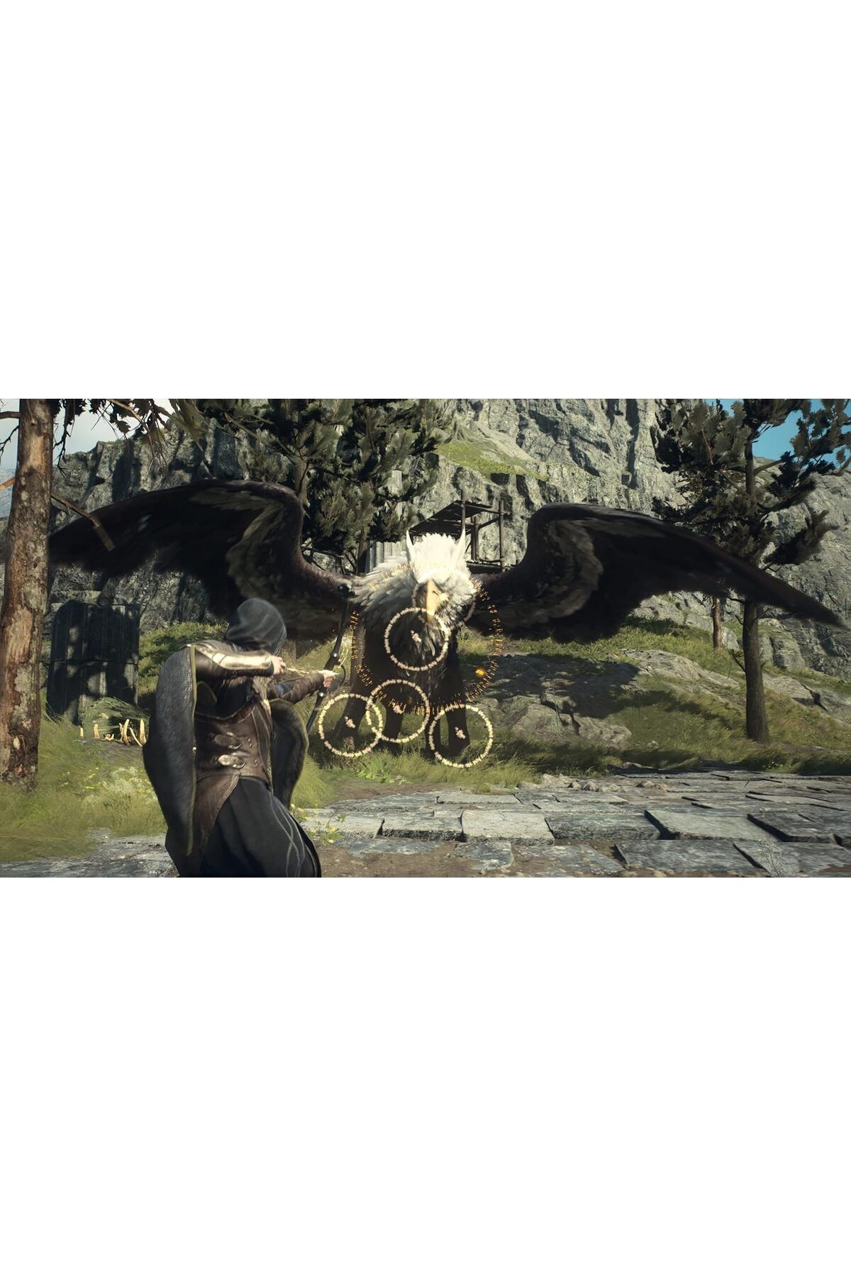 DRAGON S DOGMA 2 PS5 OYUN 4