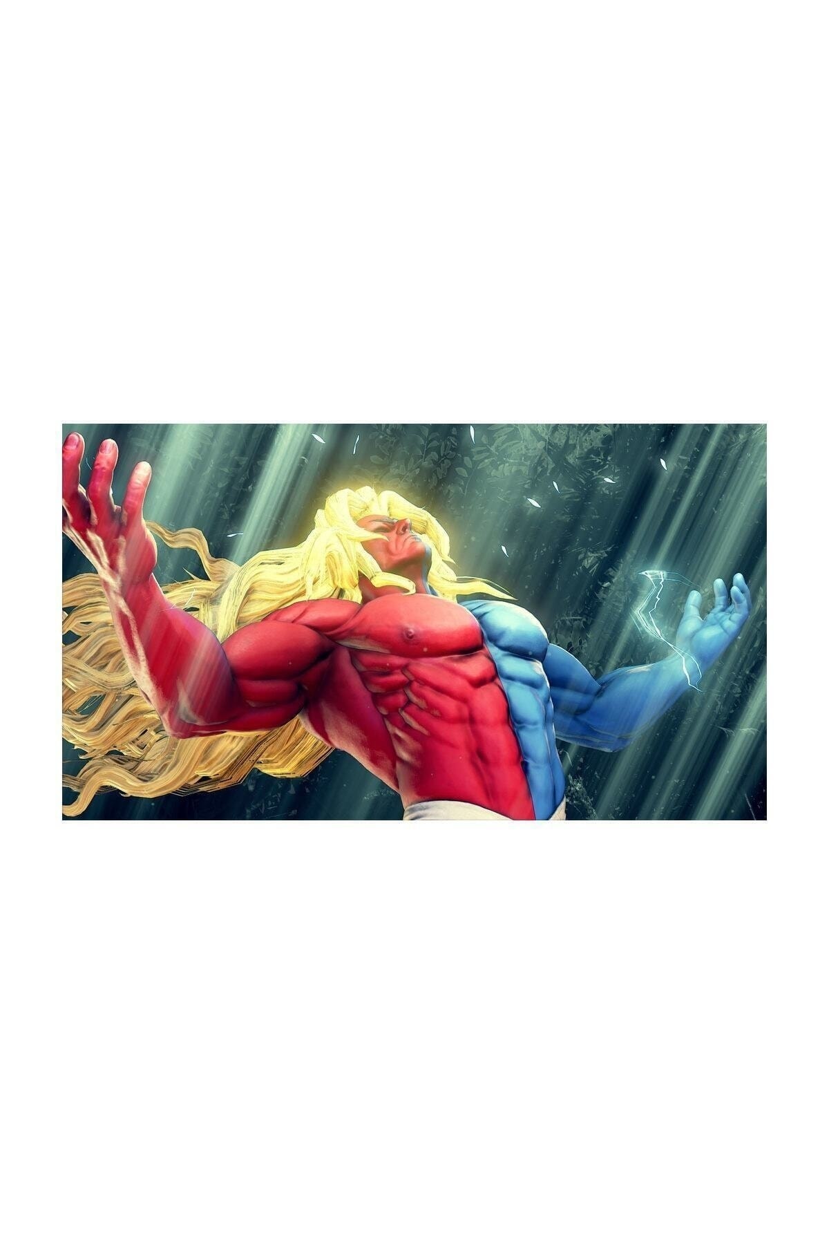 Street Fighter V Champion Edition Ps4 Oyun 5