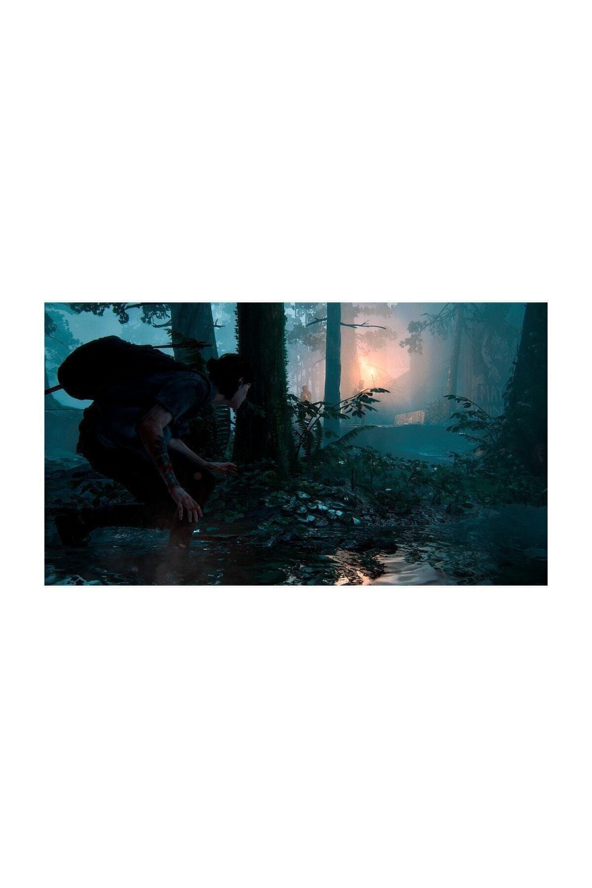 The Last Of Us Part 2 Türkçe Altyazı & Dublaj PS4 Oyun 3